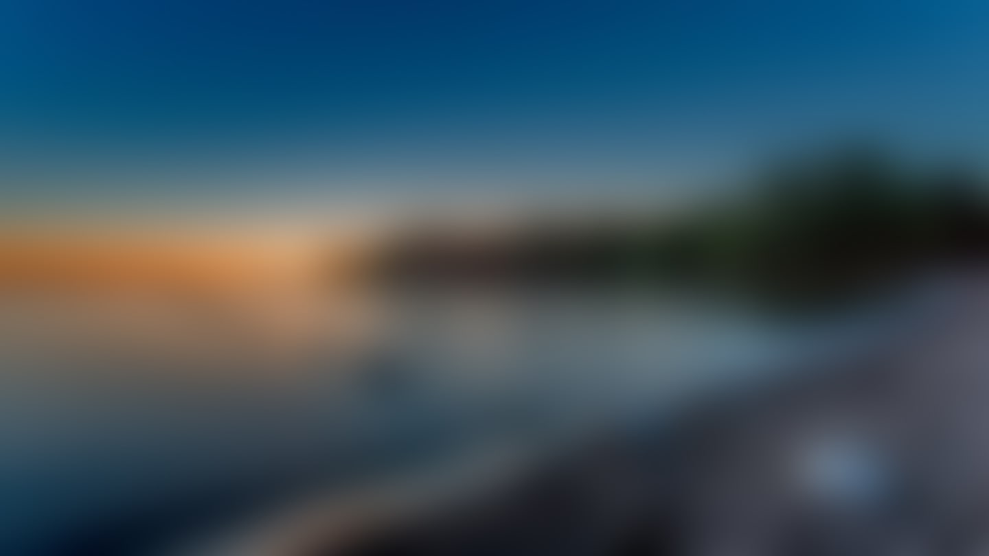 banner.jpg